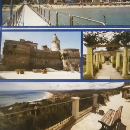 Pega Vasto