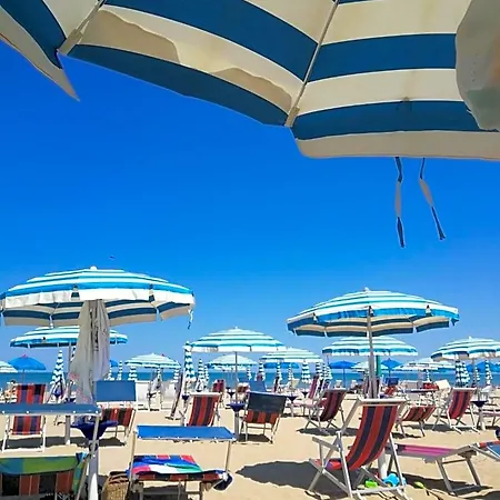 Pega Vasto